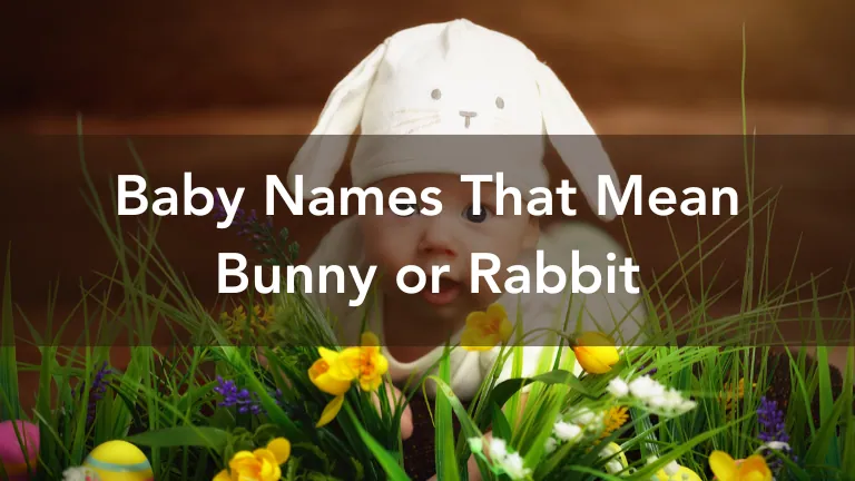 names-mean-bunny