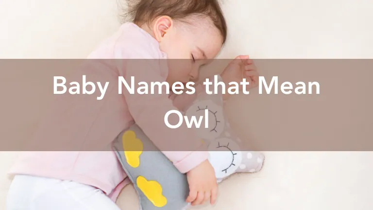 names-mean-owl
